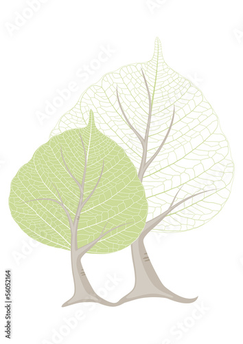 forêt