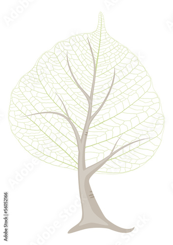 tree illustration