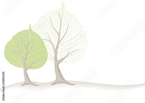 trees with green leaves vector