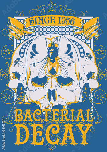 Bacterial decay