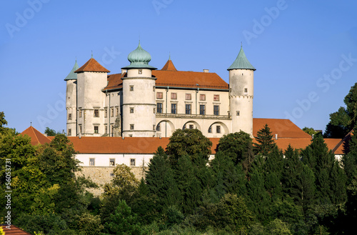 Castle in Wisnicz, Poland © kilhan