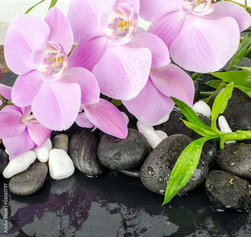 Wellness Concept  orchids  bamboo  stone  water