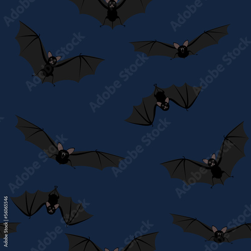bats flying