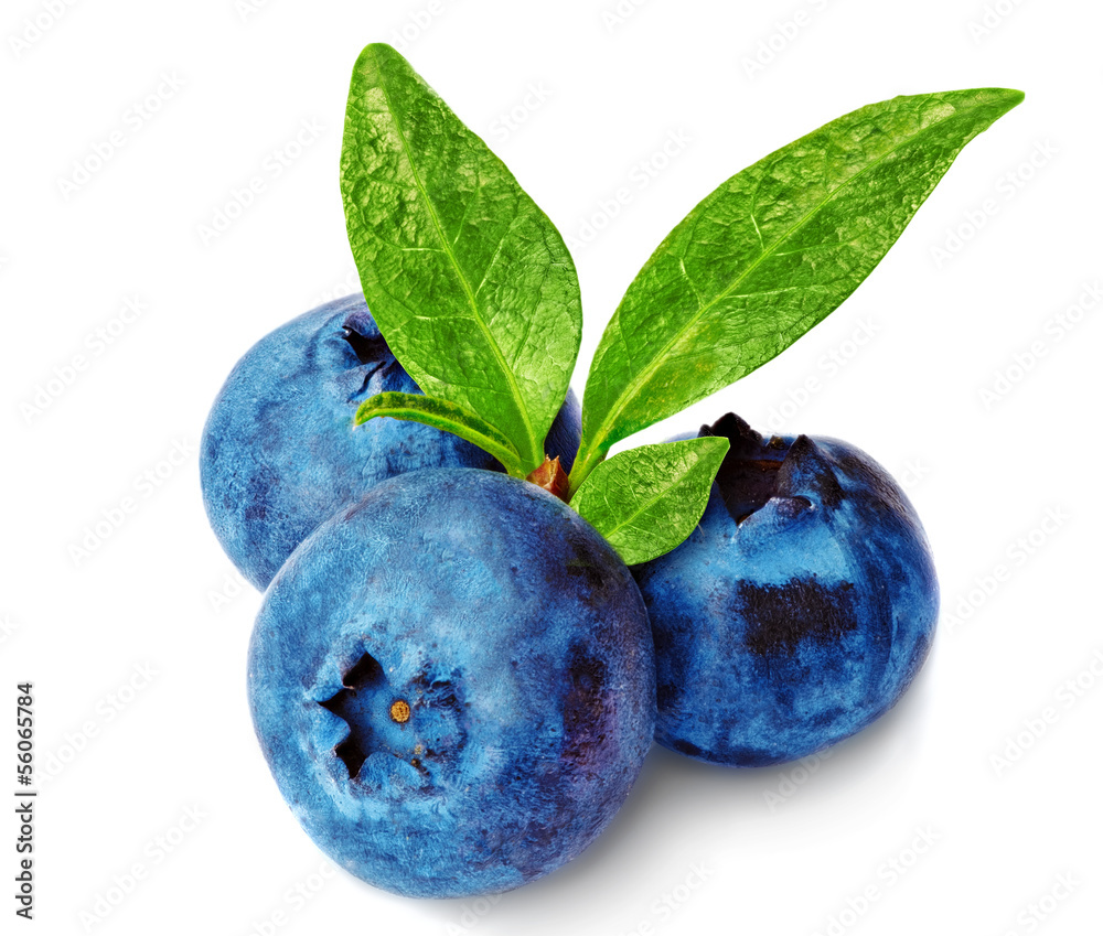 Obraz premium Three fresh blueberry isolated on white background