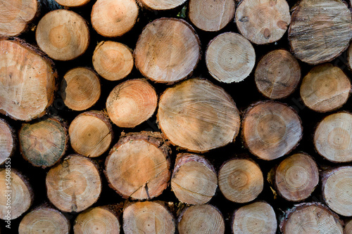 Pile of wood logs ready for winter