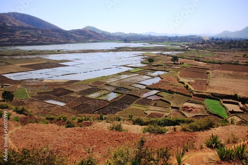 agriculture et irrigation photo