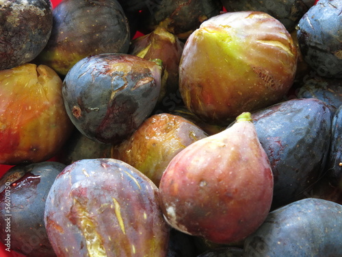 Fichi settembrini verdi e viola