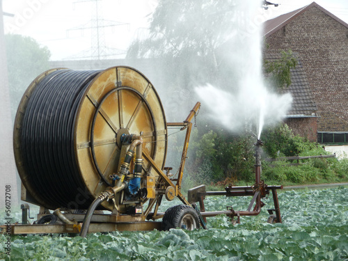 Beregnungsanlage für den Gemüseanbau photo