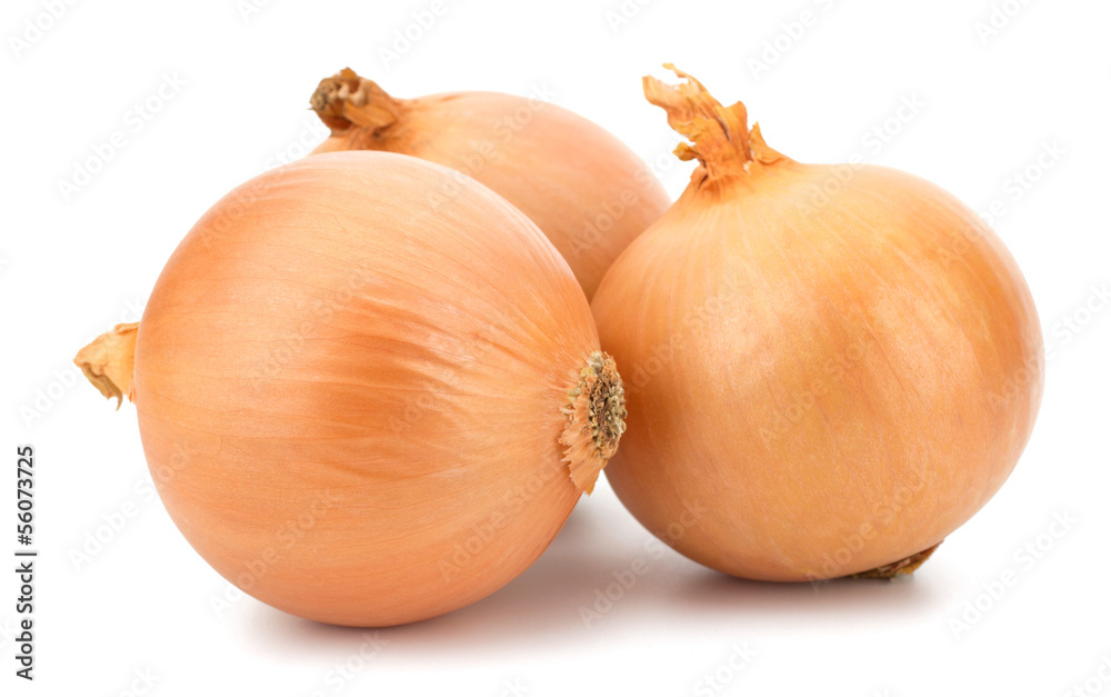Fototapeta premium Fresh bulbs of onion on a white background
