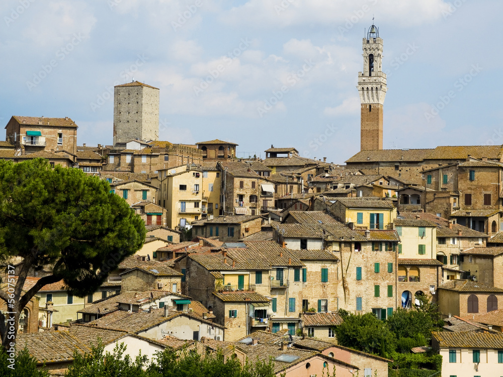 Antique houses and Mangia tower. Siena, Italy