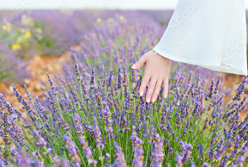 Hand and lavender