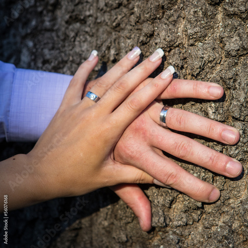 newlyweds hands with rings