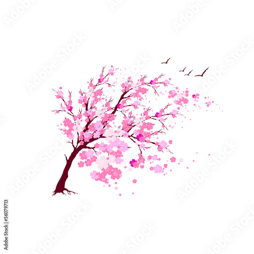 floral design