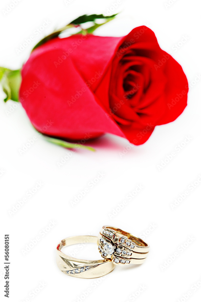 Wedding Ring in Rose, Will you marry me? Wedding Ring in Rose, Will you marry me?