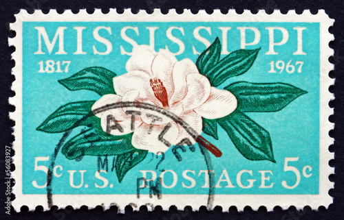 Postage stamp USA 1967 Magnolia, Flowering plant photo