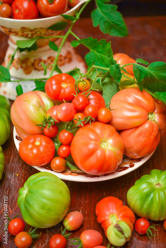 The tomato  Solanum lycopersicum 