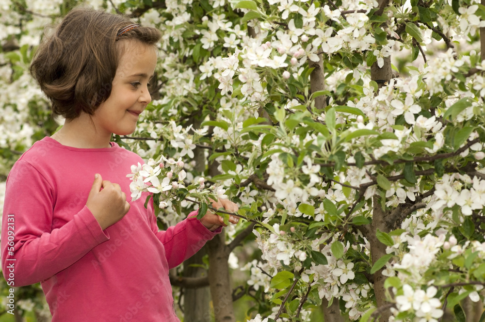 Mädchen in Apfelblüte Mädchen in Apfelblüte