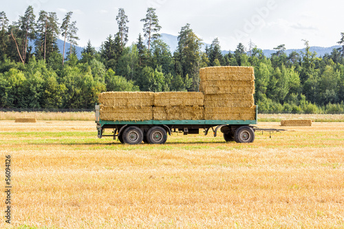 Fototapeta Cart with hay on it