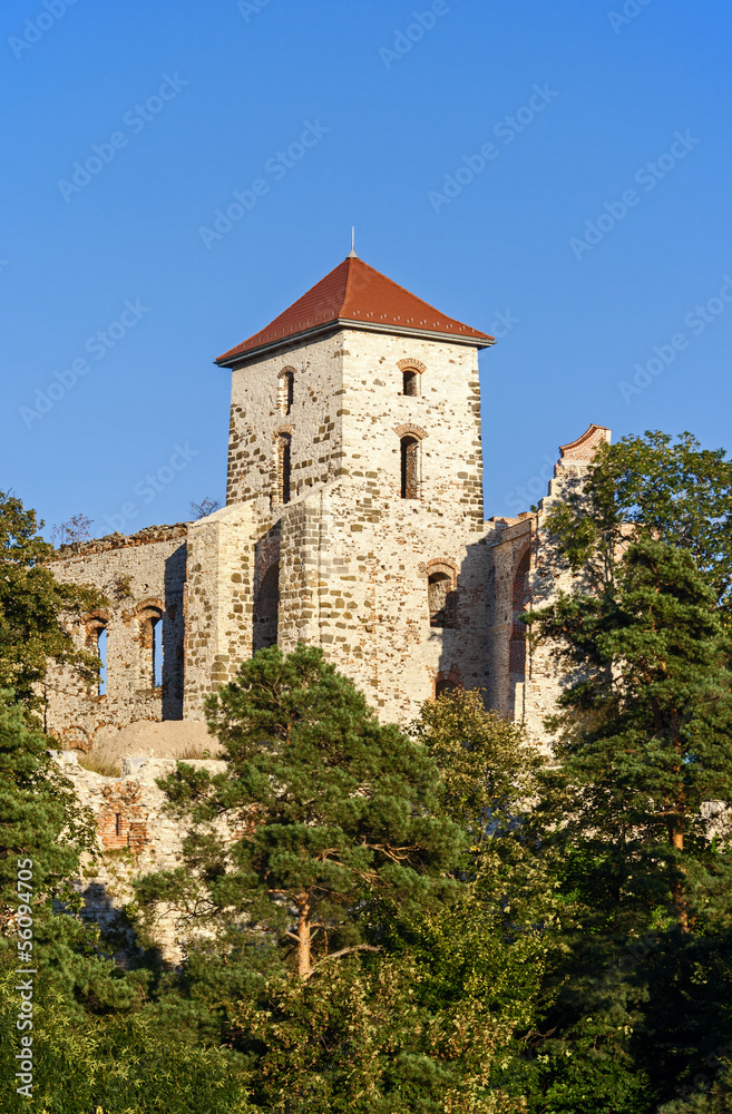 Castle tower in Tenczynek, Poland