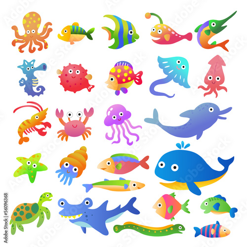 Sea fishes and animals collection
