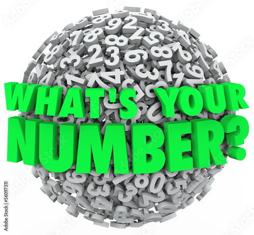 Tablou pe pânză What's Your Number Question Sphere Credit Score Budget Limit