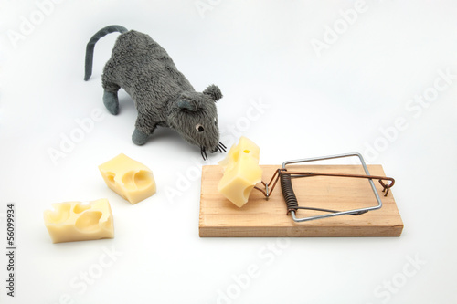 raton queso trampa photo