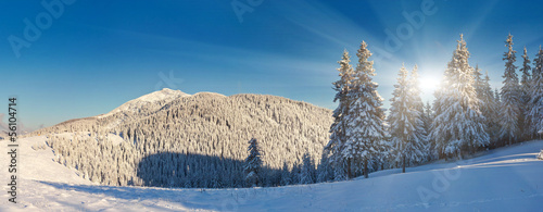 winter