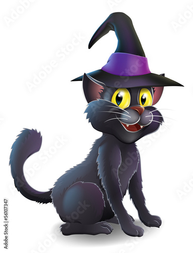 Halloween Witch Cat