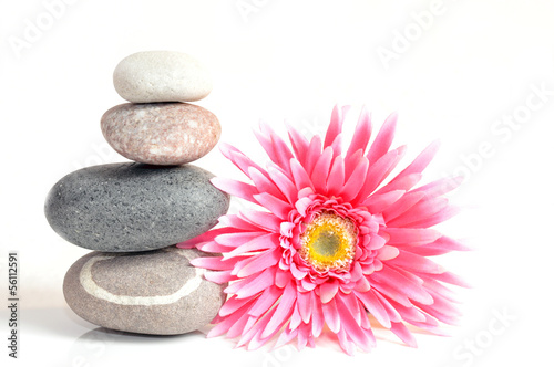 Zen Motiv Wellness