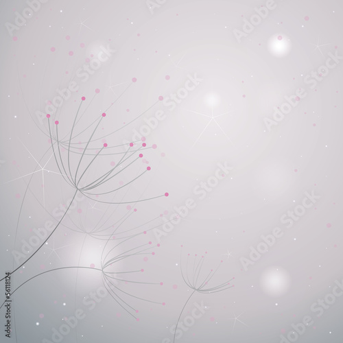 Flowers Anise / Gently floral background