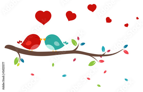 Beautiful birds in love