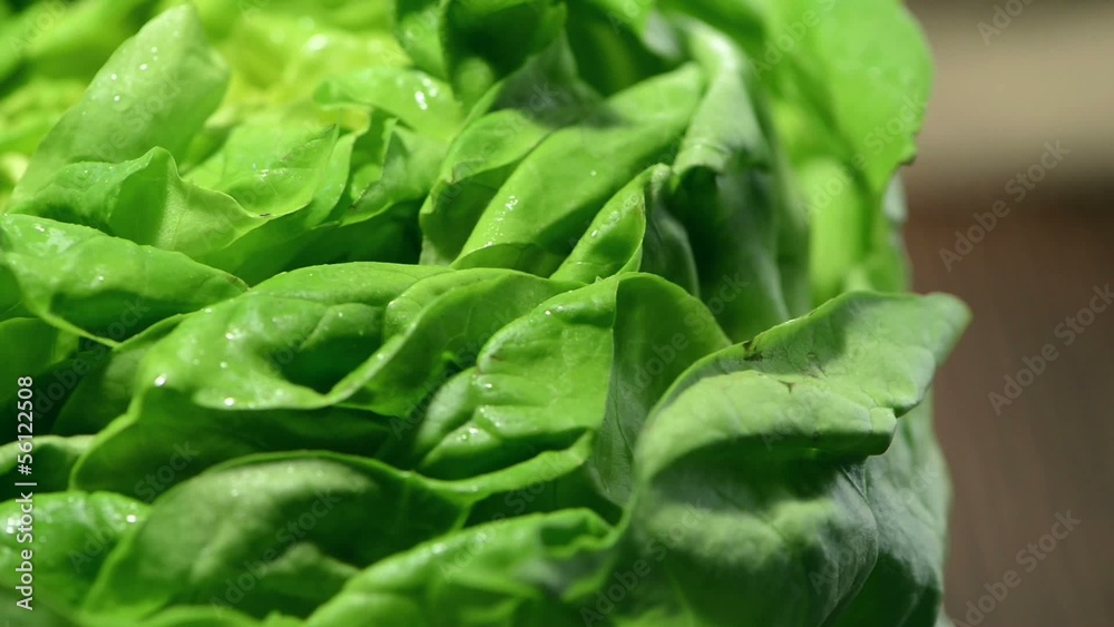 Rotating Lettuce (background macro video) Rotating Lettuce (background macro video)