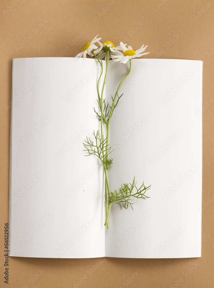 notepad with flower
