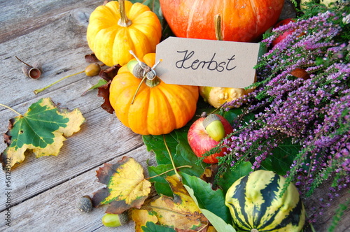 Grußkarte  Herbst - Dekorat...