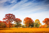 Autumn trees landscape, fall season