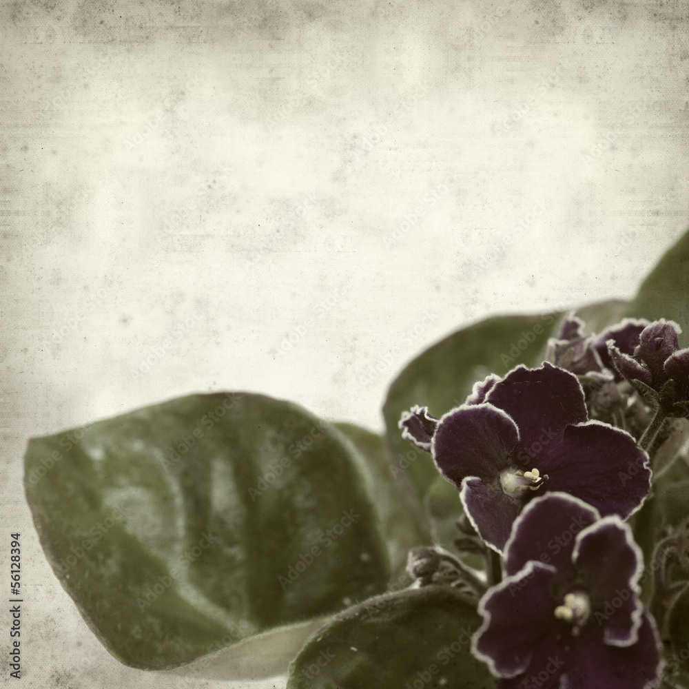 Obraz premium textured old paper background