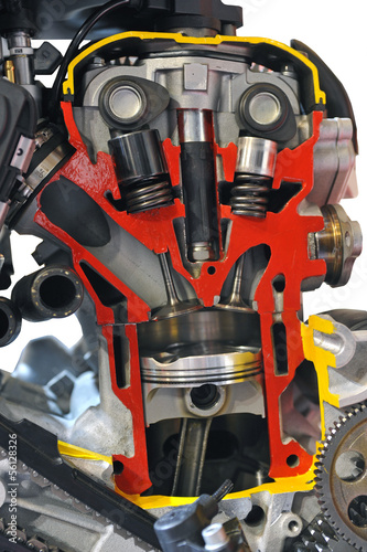 Quadro em tela bi-cylindre de moto