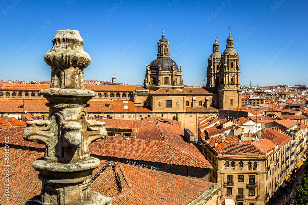 Salamanca pontifical University shot from the cathedral roof