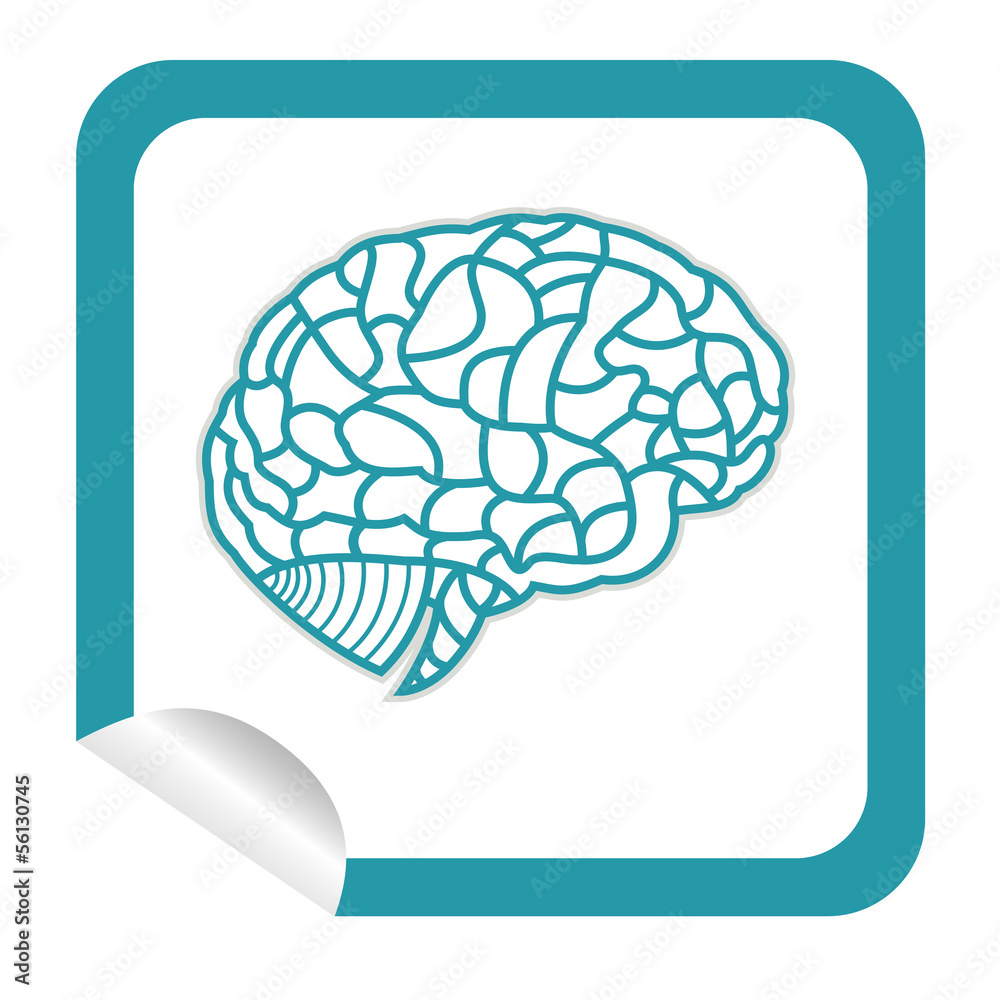 brain model on sticker icon web button. EPS10 illustration brain model on sticker icon web button. EPS10 illustration
