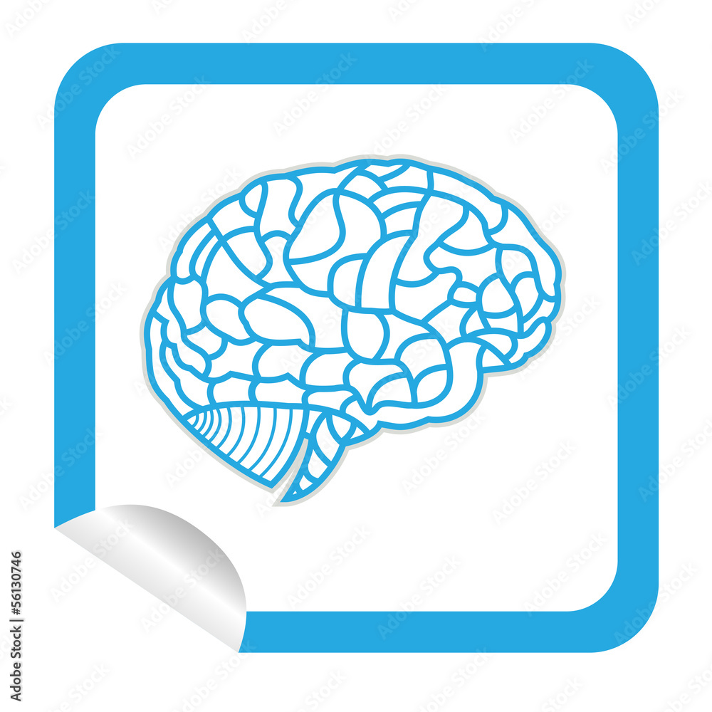 brain model on sticker icon web button. EPS10 illustration brain model on sticker icon web button. EPS10 illustration