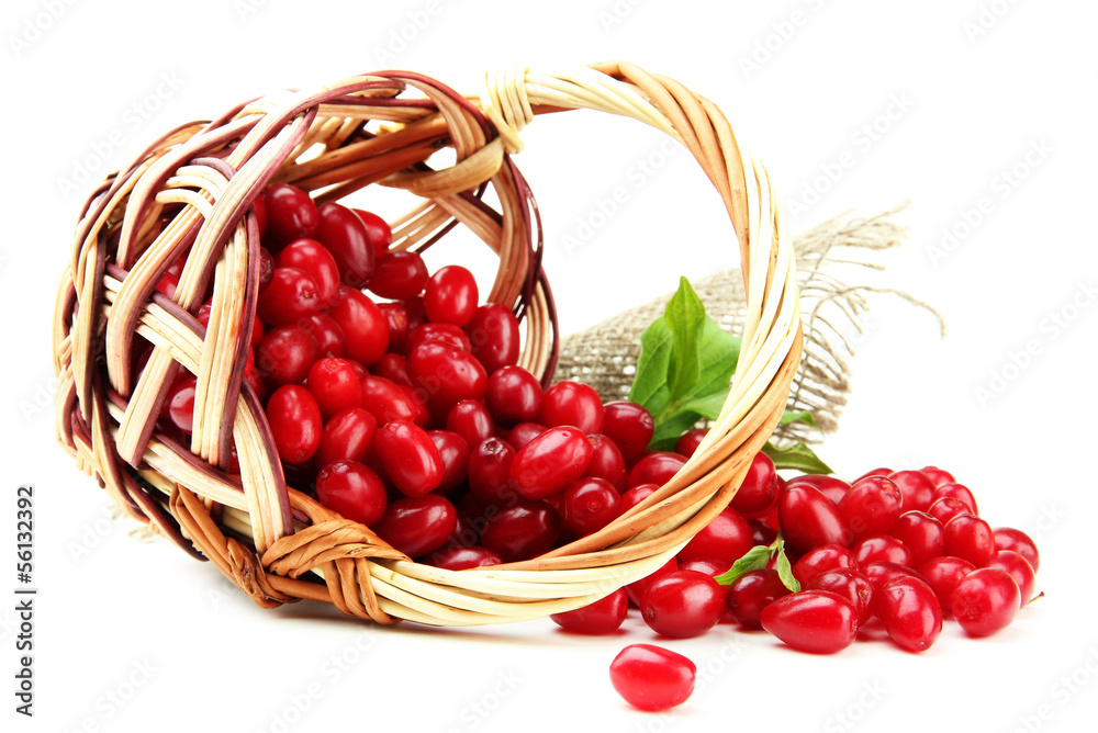 Fresh cornel berries in wicker basket, isolated on white Fresh cornel berries in wicker basket, isolated on white