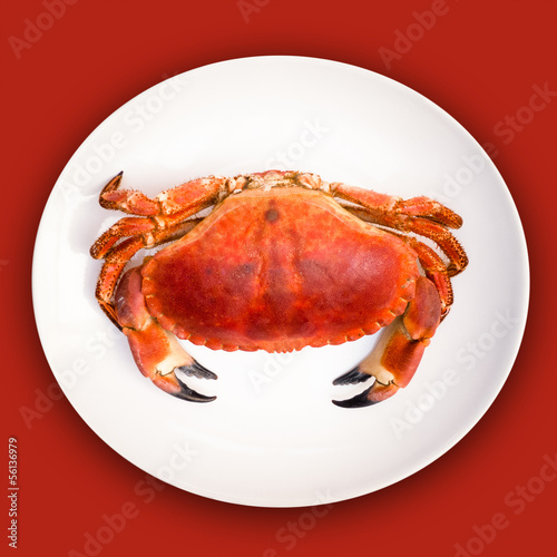 Cooked Crab on Red