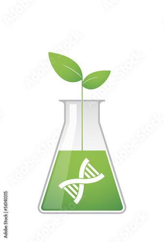 Illustration related to transgenics