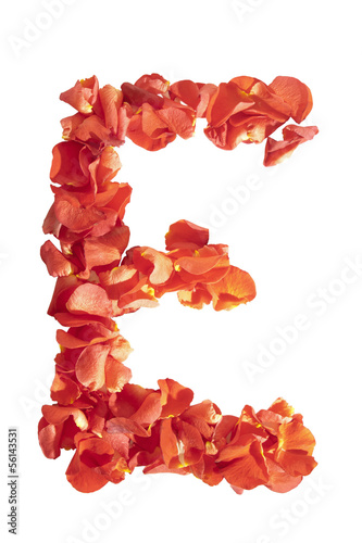 letter E of rose petals