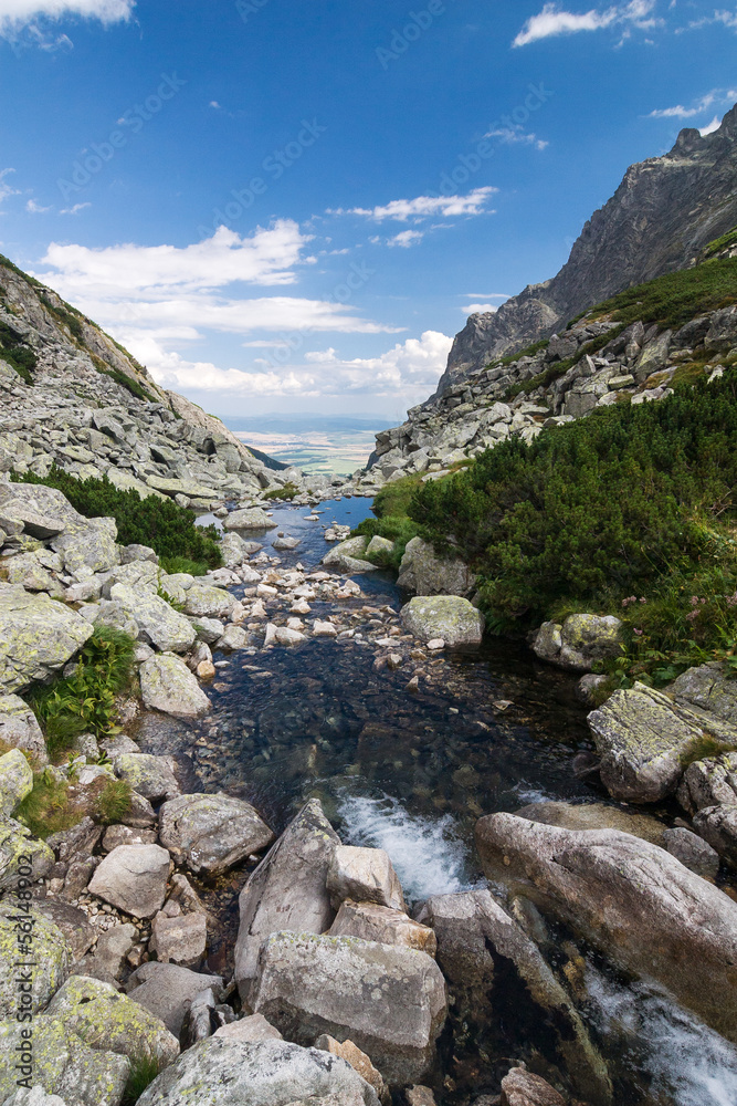 Creek in summer mountains - High Tatras, Slovakia, EU