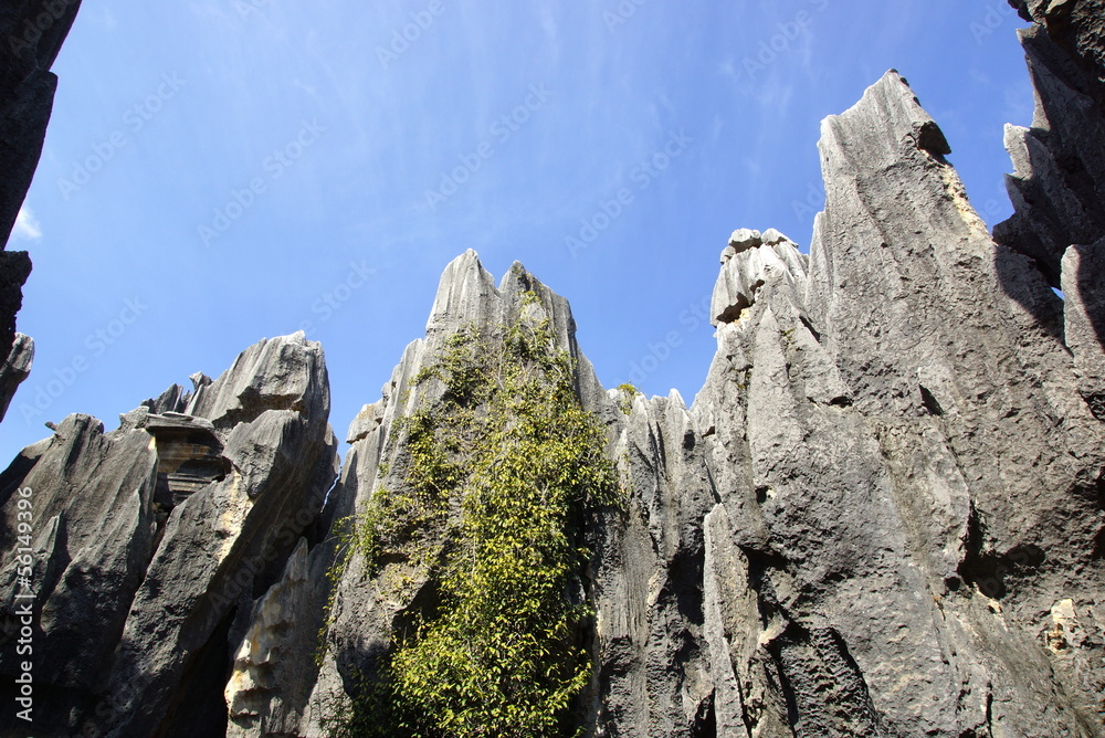 Shilin Stone Forest in Kunming, Yunnan, China Shilin Stone Forest in Kunming, Yunnan, China