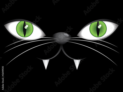 Face of black cat with green eyes