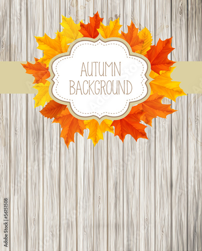 Autumn Background