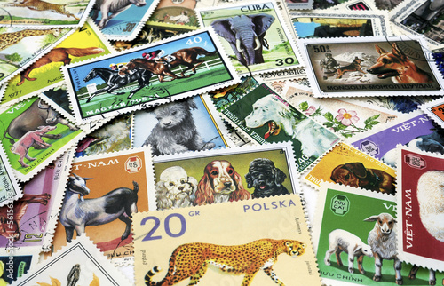 postage stamps with images of flora and fauna