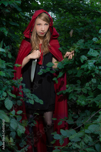 Alternative little red riding